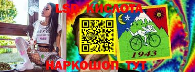 индика Новозыбков