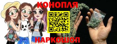 индика Новозыбков