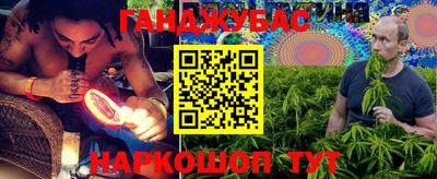 гашик Новокубанск