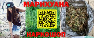 гашик Новокубанск