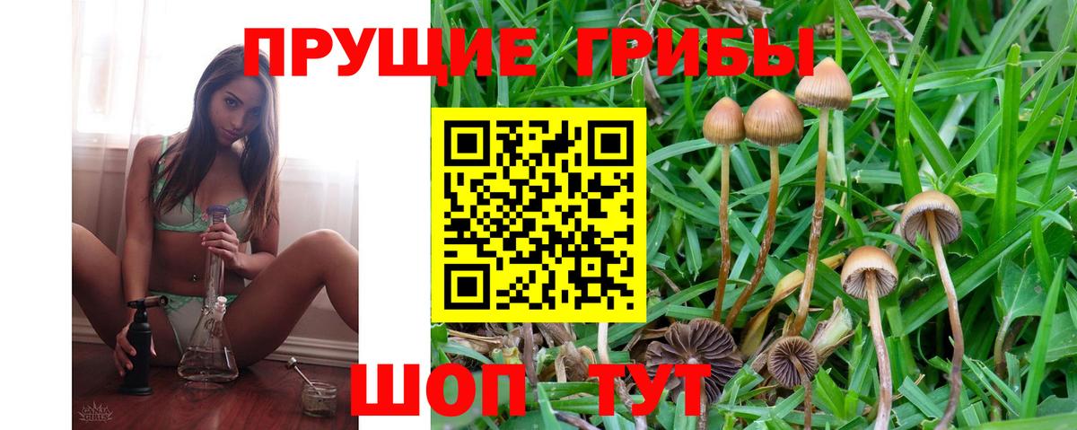 Галлюциногенные грибы MAGIC MUSHROOMS Тулун