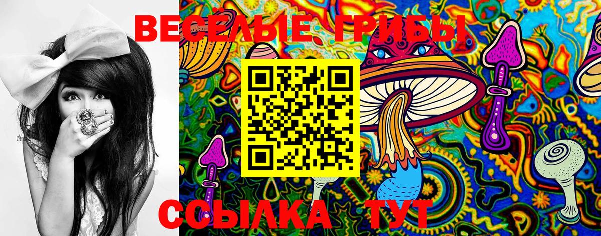 Галлюциногенные грибы ЛСД  Галлюциногенные грибы Magic Shrooms  Вход с VPN  Тулун 
